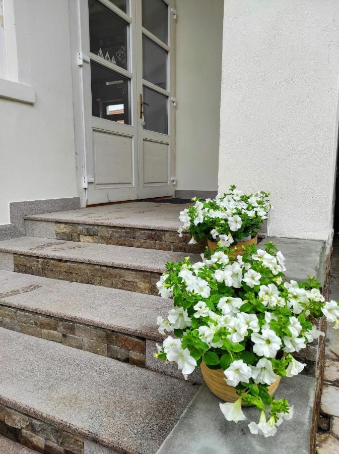 Casa David Ferenc Haz Hotel Дева Екстериор снимка